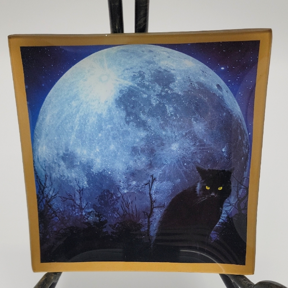 NWT Halloween Midnight Moon Black Cat & Moon Glass Tabletop Plate by Ashland
